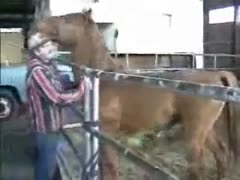 Country man leaves horse to hump him in slutty anal scenes